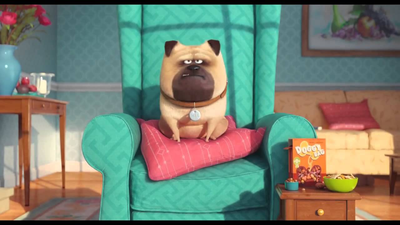 la vida secreta de tus mascotas pelicula 1