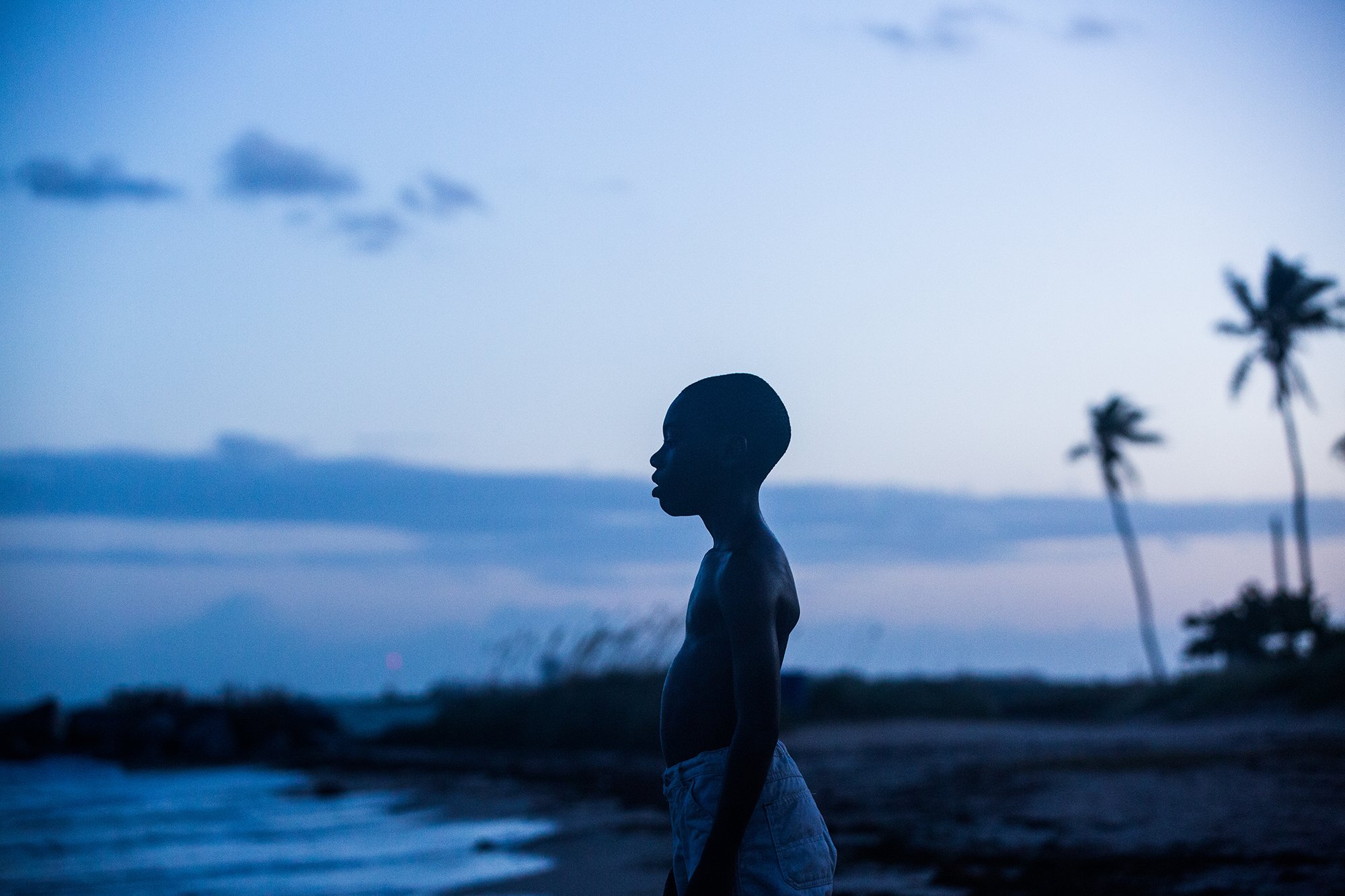 moonlight barry jenkins pelicula