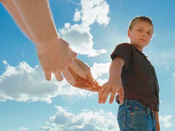 el arbol de la vida pelc3adcula terrence malick e1501550416524
