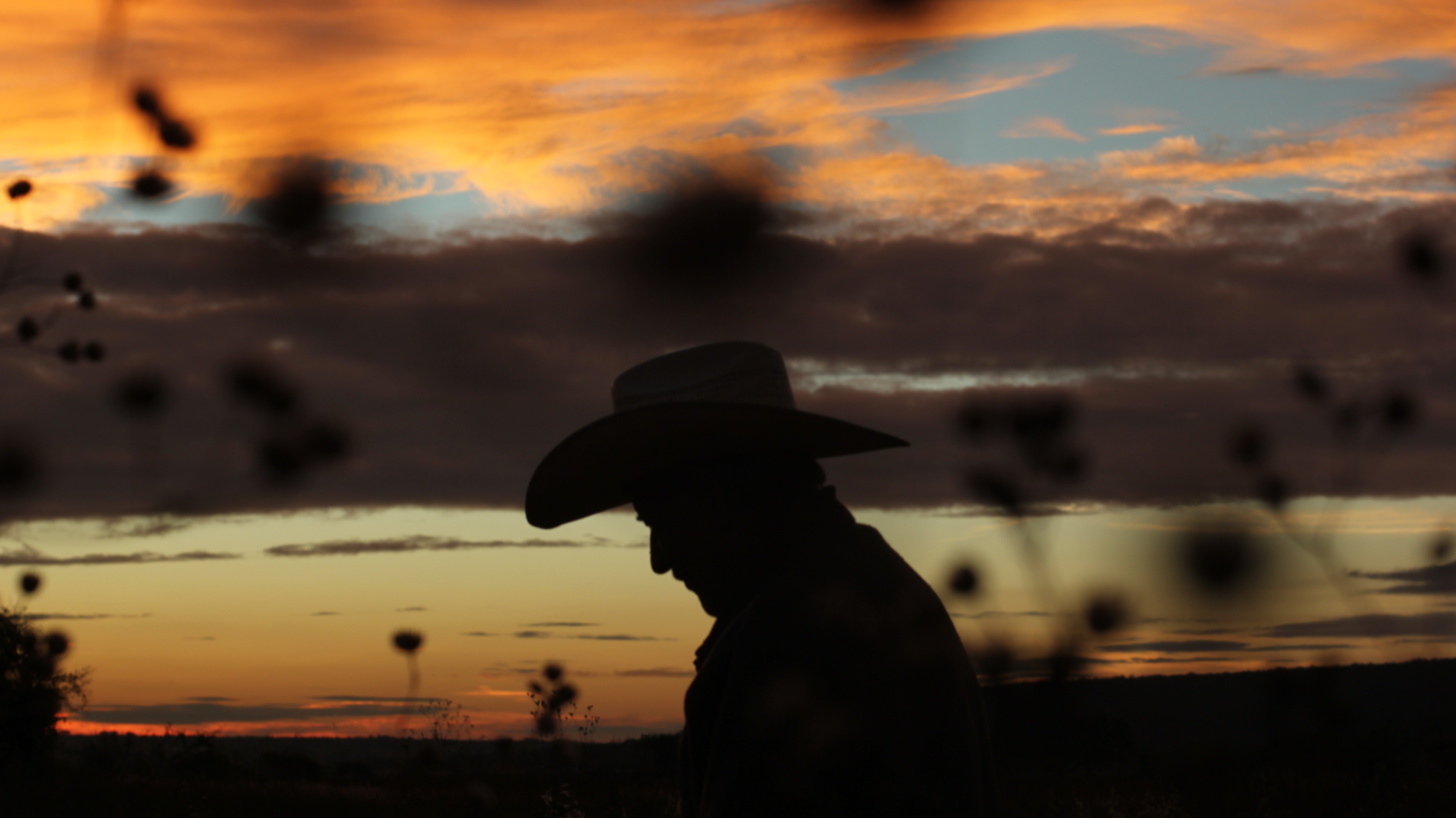 Titixe: buscar entre la tierra y escarbar en el pasado 3 titixe documental 3
