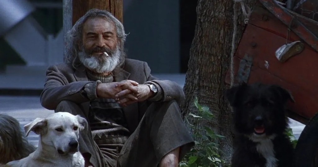 Amores Perros proyección gratuita en la Ciudad de México