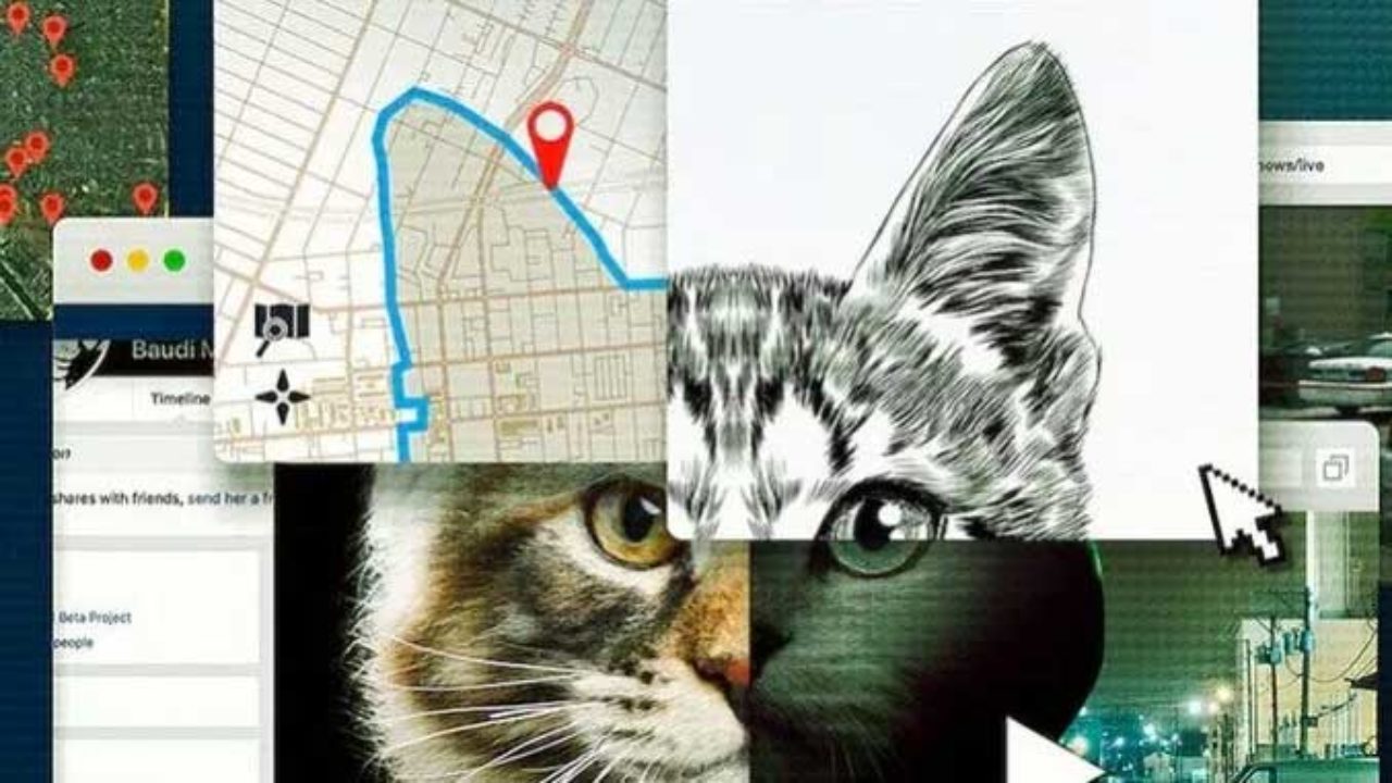 No te metas con los gatos: el nacimiento de un asesino en Internet 2 no te metas con los gatos