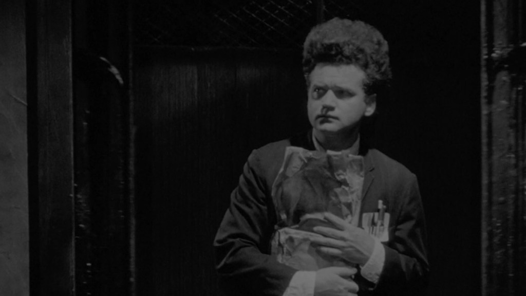 MUBI tendrá un ciclo dedicado a David Lynch 1 MUBI tendrá un ciclo dedicado a David Lynch