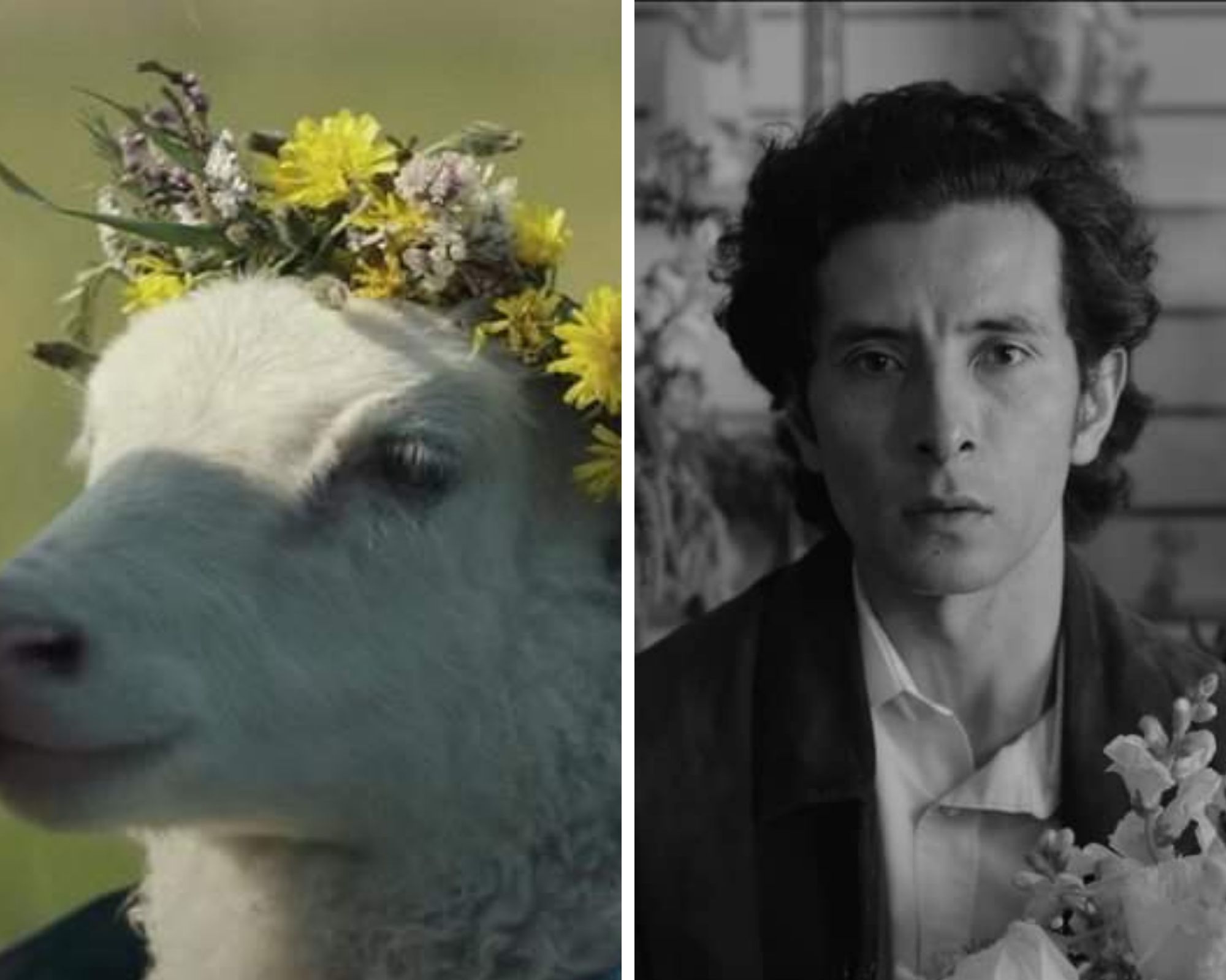 'Lamb' y más películas de terror llegarán al Feratum 2021
