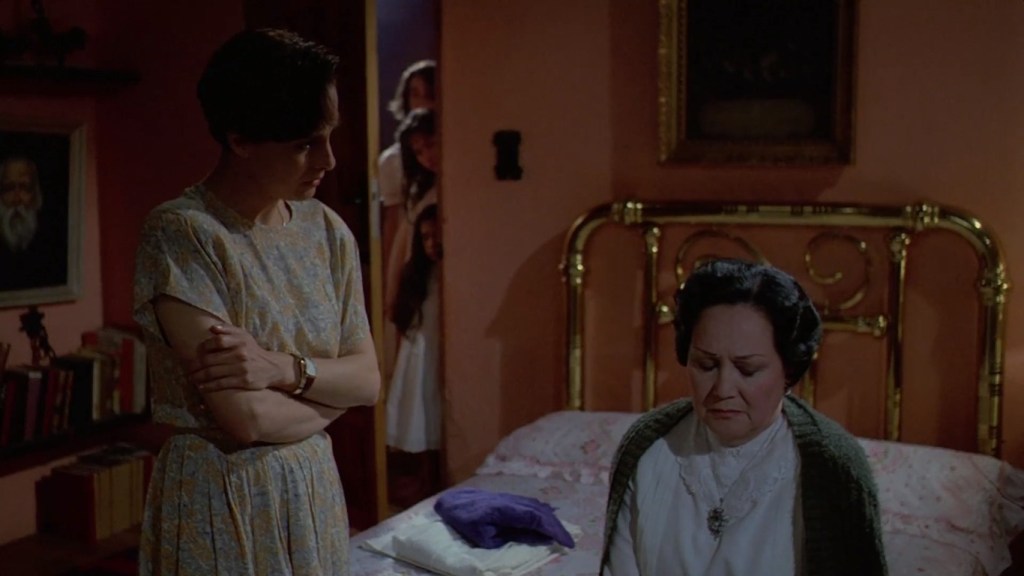 Cine mexicano de los 80: 'El secreto de Romelia' y 'Lola'