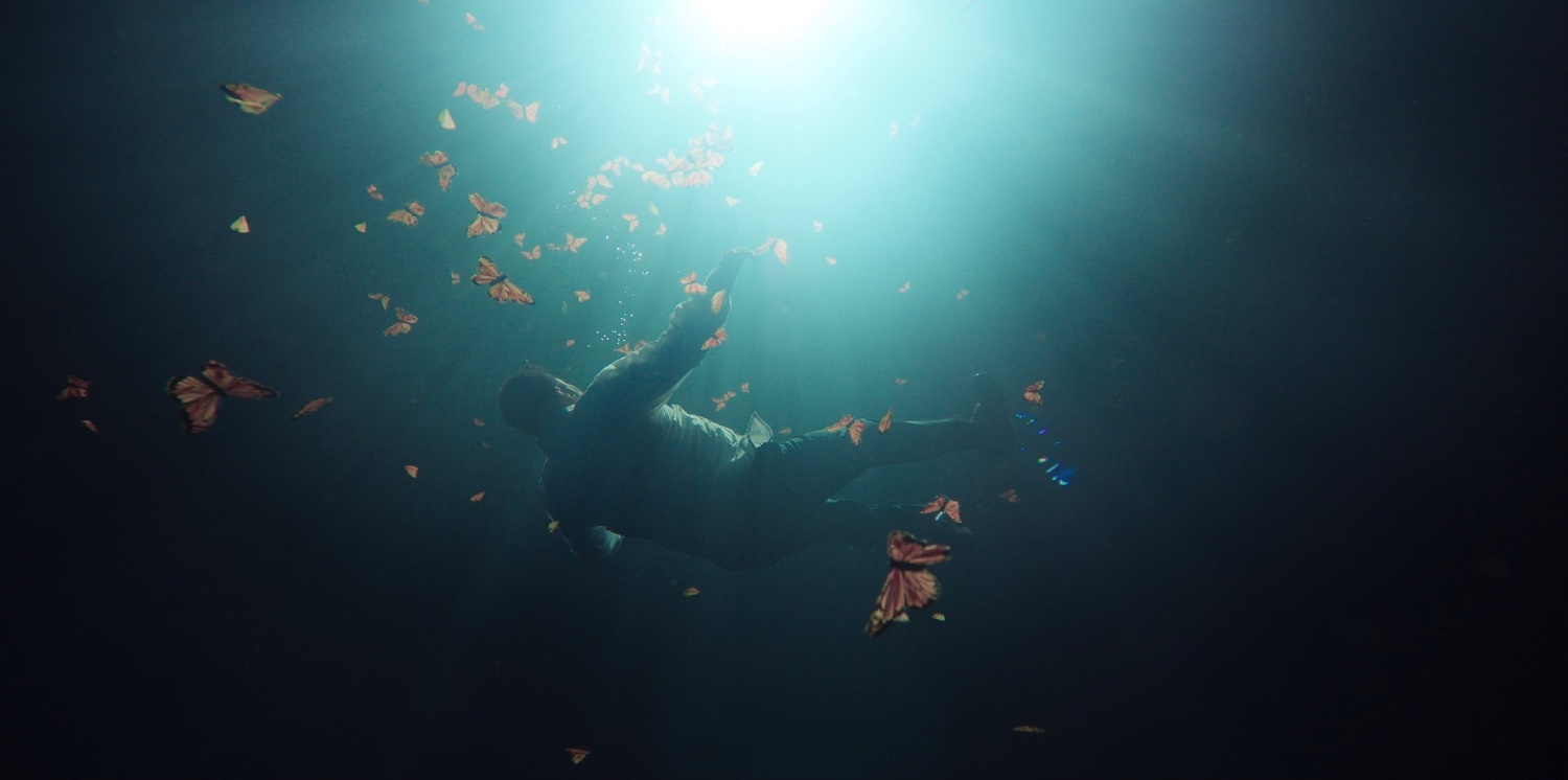 'El guardián de las monarcas' exhibe la impunidad de crímenes contra ambientalistas 2 El guardian de las monarcas documental