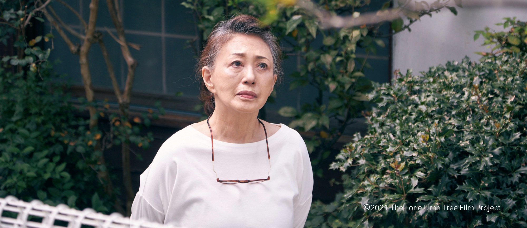 Festival de cine japones online 2024 1