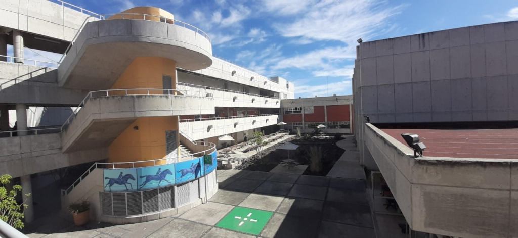  entrevista con Ryu murillo veyda profesor enac