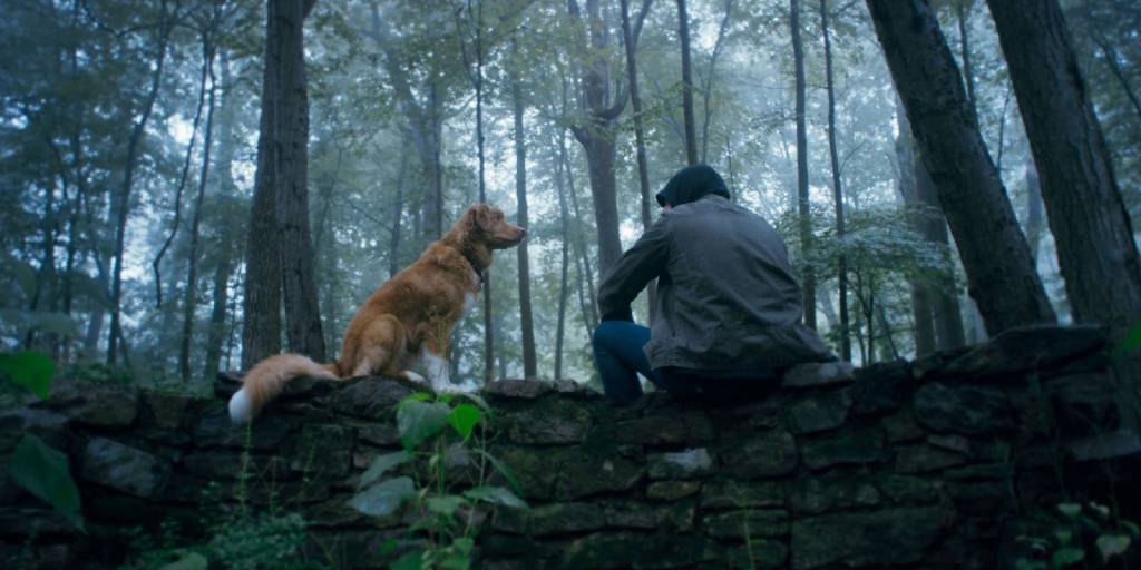 'Good Boy' (Ben Leonberg, 2025)