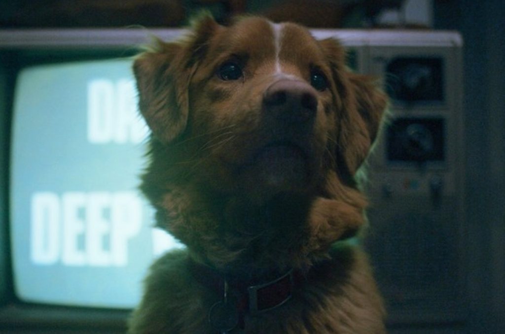 Good boy.2